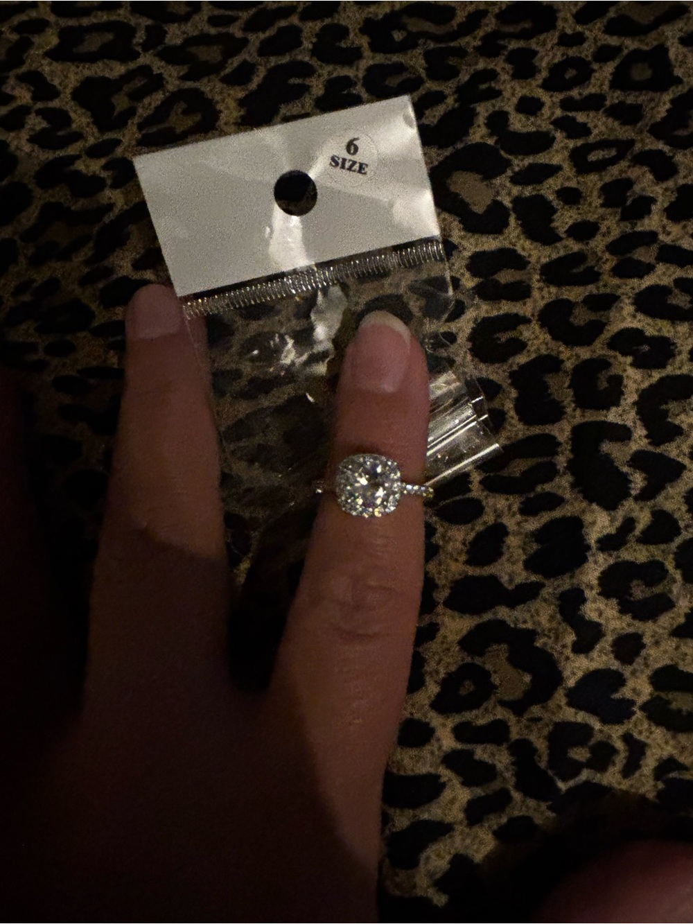 Sparkling Silver Halo Ring - Clear Cubic Zirconia (Size 6)